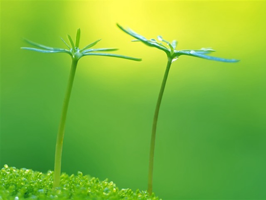 淮南删除的照片如何恢复 - 照片恢复教程