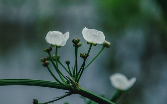 怎么恢复刚刚删除的照片文件？ - 照片恢复教程