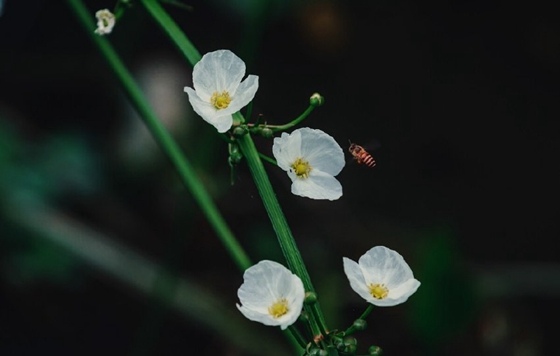 如此简单的恢复误删照片方法，你学会了吗 - 照片恢复教程