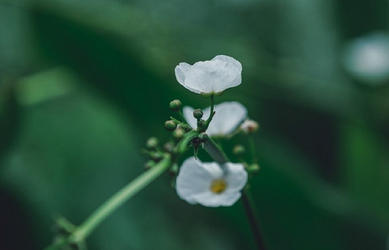 河东删除的照片如何恢复 - 照片恢复教程