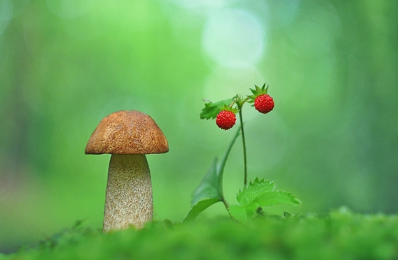 误删电脑照片恢复 - 照片恢复教程