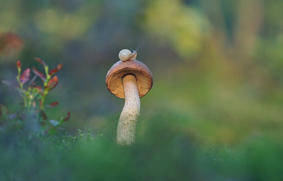 如何恢复丢失的照片？教你一个小技巧 - 照片恢复教程