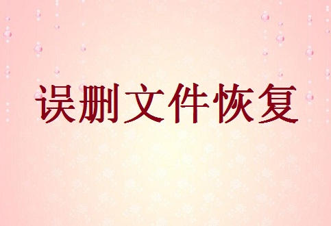 桌面word文件误删除如何恢复软件 - 误删文件恢复教程