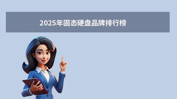 2025年固态硬盘品牌排行榜