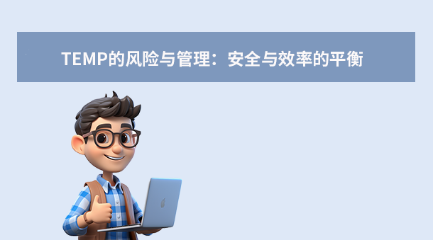 TEMP的风险与管理:安全与效率的平衡