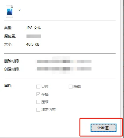 从回收站恢复文件：最简单的应急方法