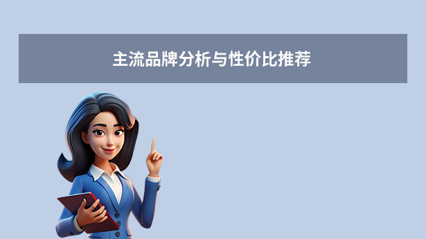 主流品牌分析与性价比推荐