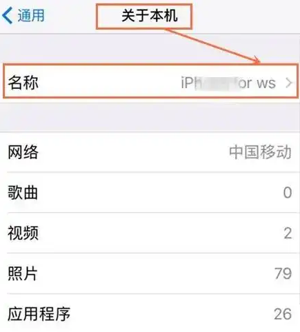 关键设置详解