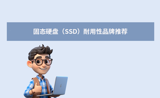 固态硬盘（SSD）耐用性品牌推荐