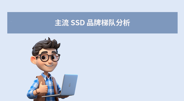 主流 SSD 品牌梯队分析：
