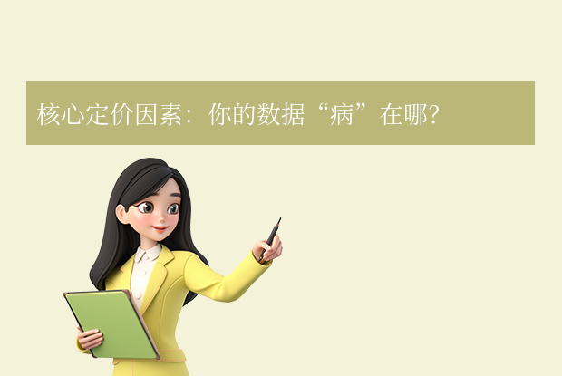 核心定价因素：你的数据“病”在哪？