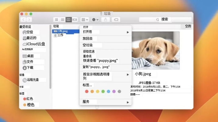 检查回收站与使用文件历史/版本历史（适用于逻辑删除）步骤二