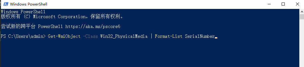 使用PowerShell（更现更强大）步骤二