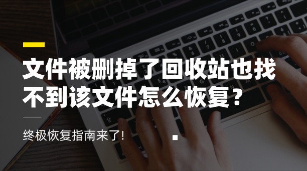 文件被删掉了回收站也找不到该文件怎么恢复?别慌!找不到文件的终极恢复指南来了!