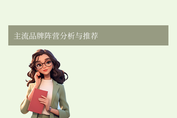  主流品牌阵营分析与推荐