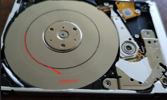 5种数据恢复方法详解（从易到难）步骤九