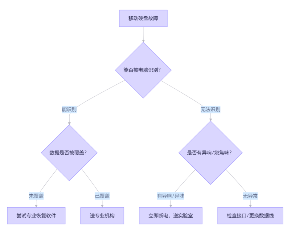 专业选择决策路径图