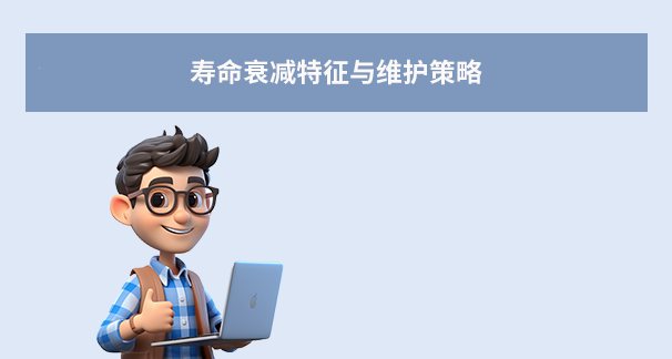 寿命衰减特征与维护策略