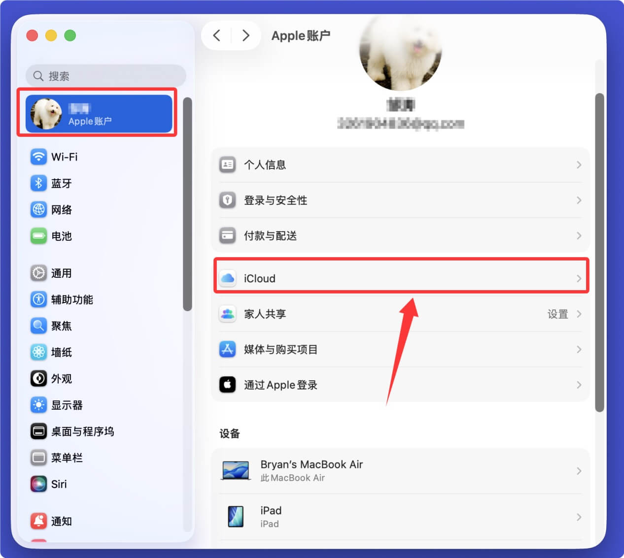 检查iCloud云盘或“废纸篓”的云端关联步骤一