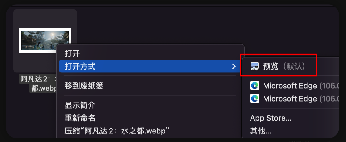 WebP格式怎么打开?(5种方法全攻略)步骤四
