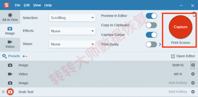 第三方截图软件（如Snagit）步骤三
